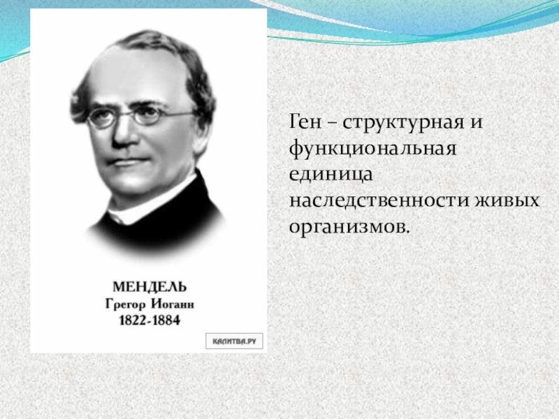 Общие представления о наследственности и изменчивости презентация