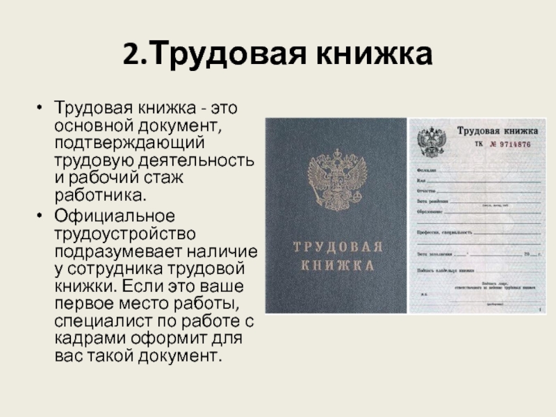 Установленного образца является основным документом о трудовой деятельности и трудовом стаже работника