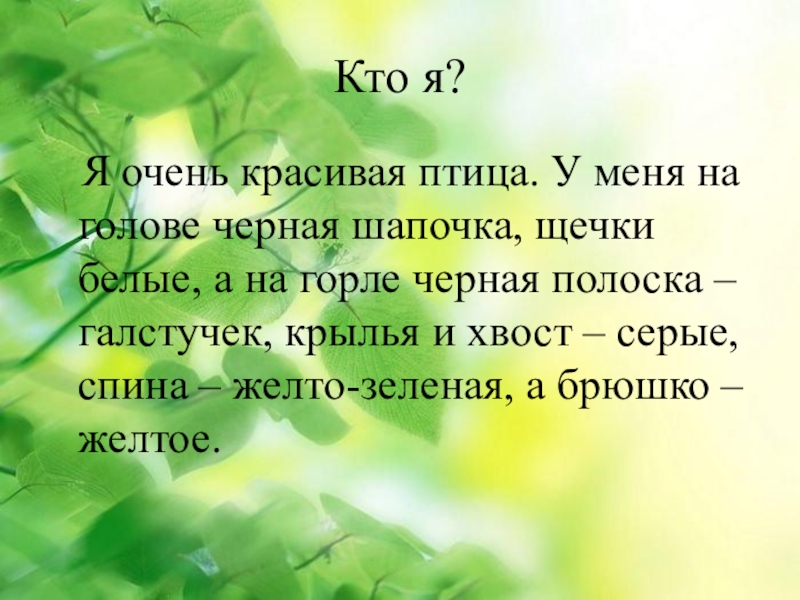 Цитаты про птиц. Красивые цитаты про птиц. Цитаты о птицах для детей. Про птичек высказывания.