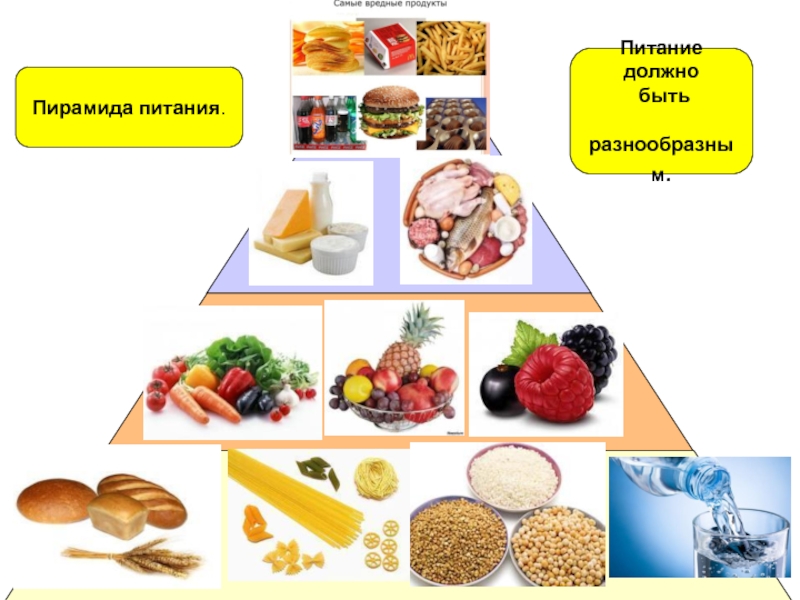 Питание должно быть. Питание должно быть разнообразным. Почему питание должно быть разнообразным. Почему пища человека должна быть разнообразной. Питание должно быть разнообразным для детей.