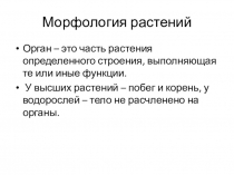 Урок - презентация по теме Корень