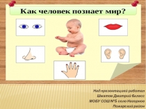 Презентация по Обществознанию Как человек познаёт мир Шматов Дмитрий 6 класс