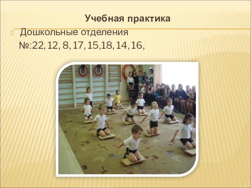 дошкольные практики. профиль - дошкольное образование. студенты на практике в детском саду. практика дошкольное образование. общий вывод по практике в детском саду.