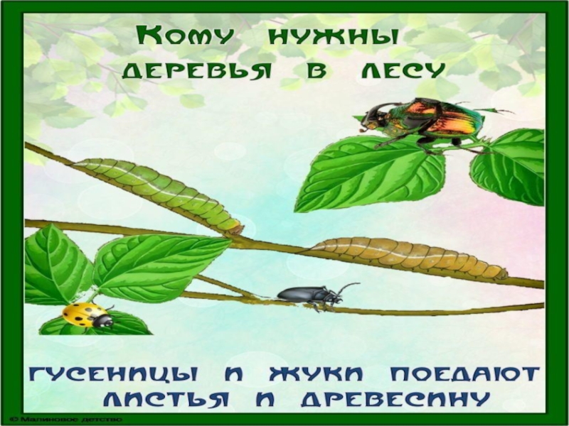 Для чего нужны деревья