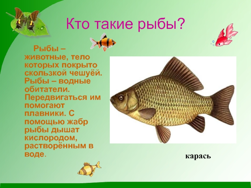 Рыбы обитатели водоемов 2 класс 21 век презентация