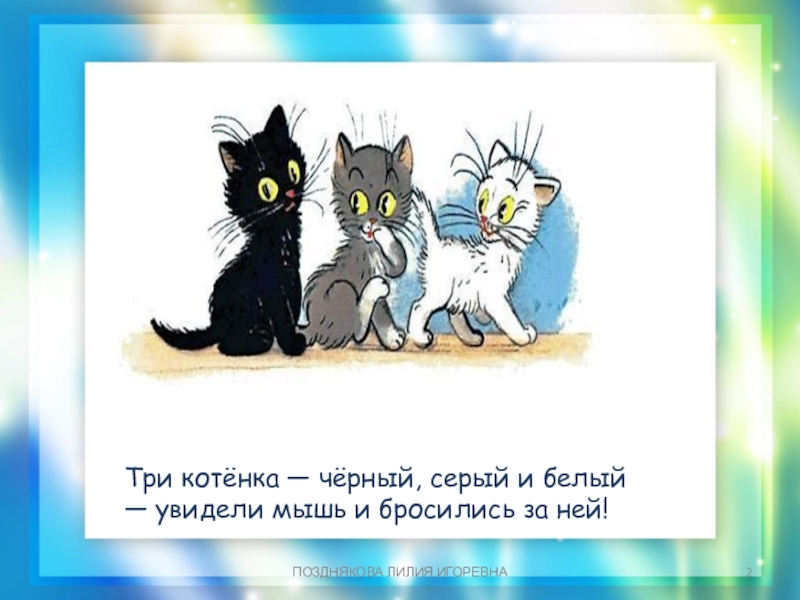 Коту 3 года