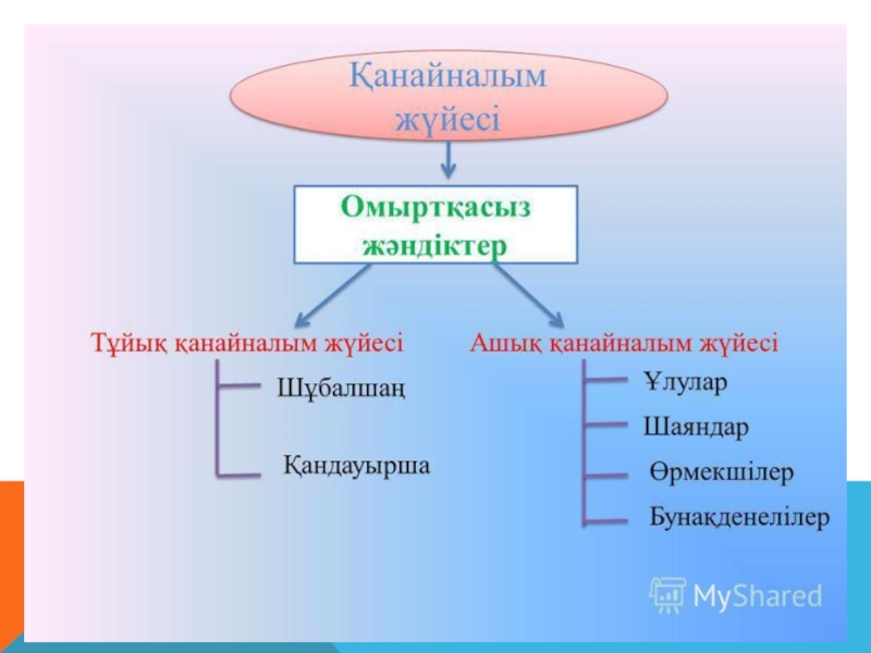 Қан айналым бұзылыстары презентация