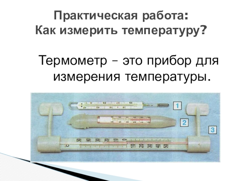 Как измеряют температуру презентация 1 класс