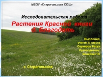 Презентация по биологии Растения Красной книги