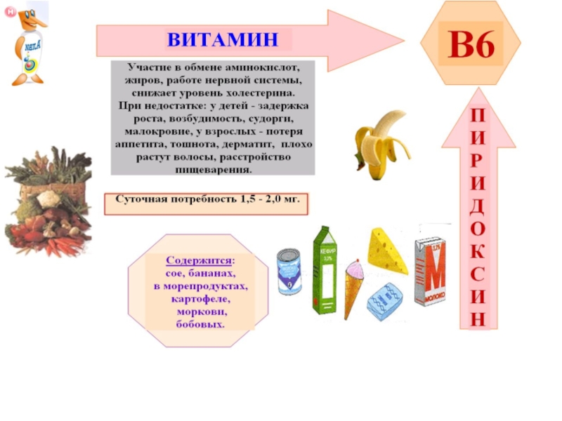 8 класс витамины презентация по