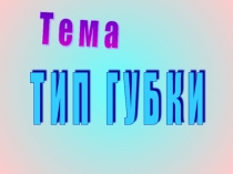 Презентация по биологии на тему Тип Губки