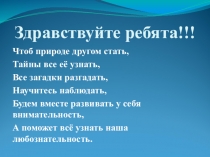 Презентация по окружающему миру  Жизнь экосистемы