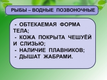 Презентация к уроку окружающего мира