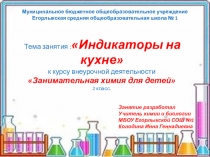 Презентация к занятию:Индикаторы на кухне к курсу внеурочной деятельности Занимательная химия для детей 2 класс.