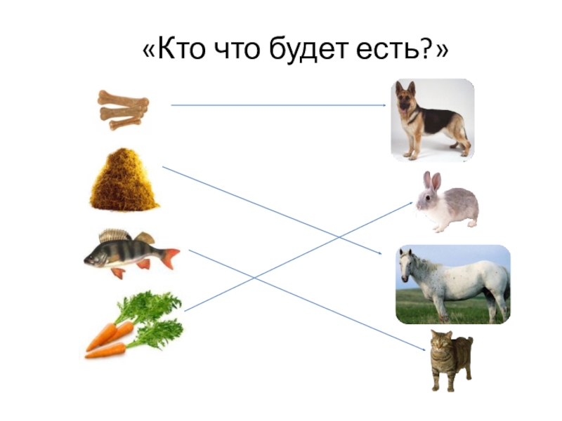 Кто что может. Чем полезны домашние животные. Какую пользу дают домашние животные. Презентация вторая младшая группа домашние животные. Презентация для младшей группы домашние животные.