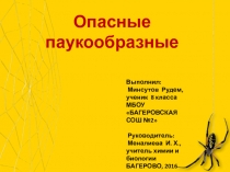 Презентация по биологии. 7 класс. Паукообразные.