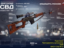 Презентация по ОВС на тему Снайперская винтовка Драгунова (10 класс)