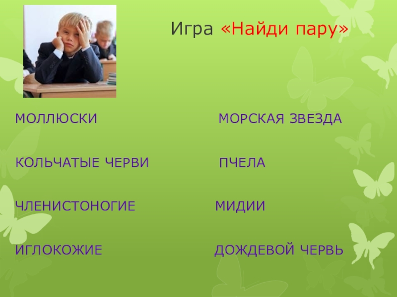 Быстрее дальше выше 3 класс 21 век. Животные 3 класс 21 век презентация.