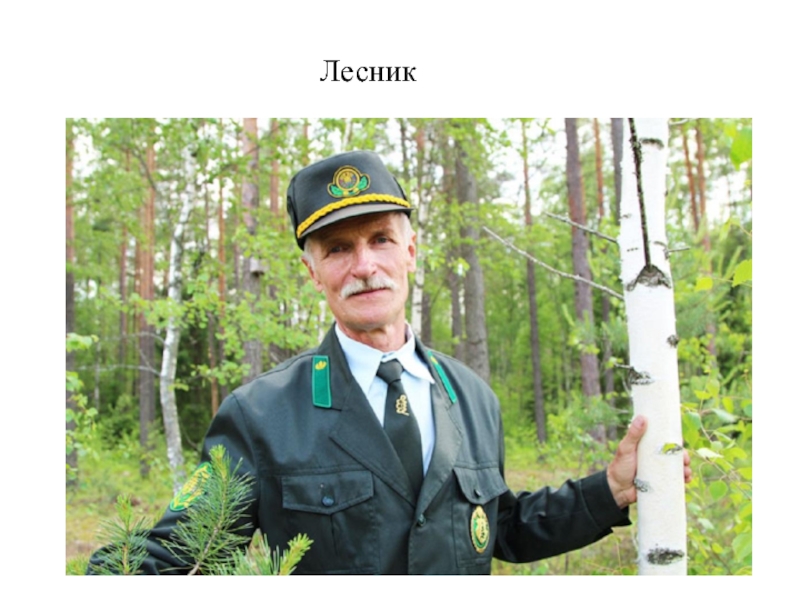 Форма лесничего в россии фото