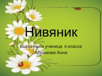 Презентация по окружающему миру  Нивяник