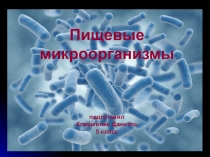 Пищевые организмы 5 класс