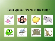 Конспект урока английского языка на тему Parts of the Body