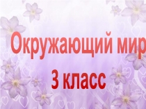 Презентация по окружающему миру на тему Что такое экология?