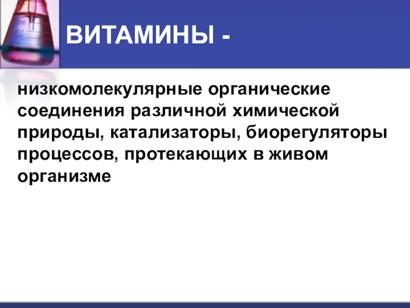 Реферат Витамины И Их Влияние На Организм Человека