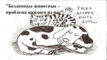 Бездомные животные - проблема каждого из нас.