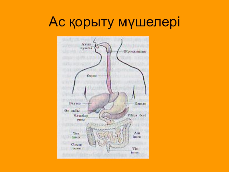 Ас қорыту жүйесіне әсер ететін дәрілер презентация