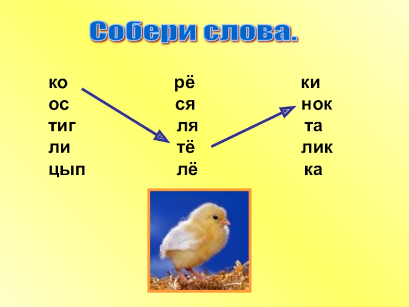 Текст 1 класс буква ц