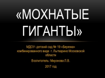 Презентация по ознакомлению с окружающим  Мохнатые гиганты ( 1 класс)