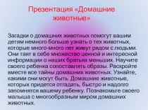 Презентация Домашние животные в младшей группе