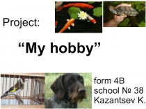 Презентация по англ языку по теме Мy pets