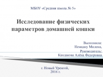 Исследование физических параметров домашней кошки.