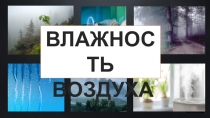 Презентация по физике на тему Влажность воздуха. Способы определения влажности воздуха (8 класс)