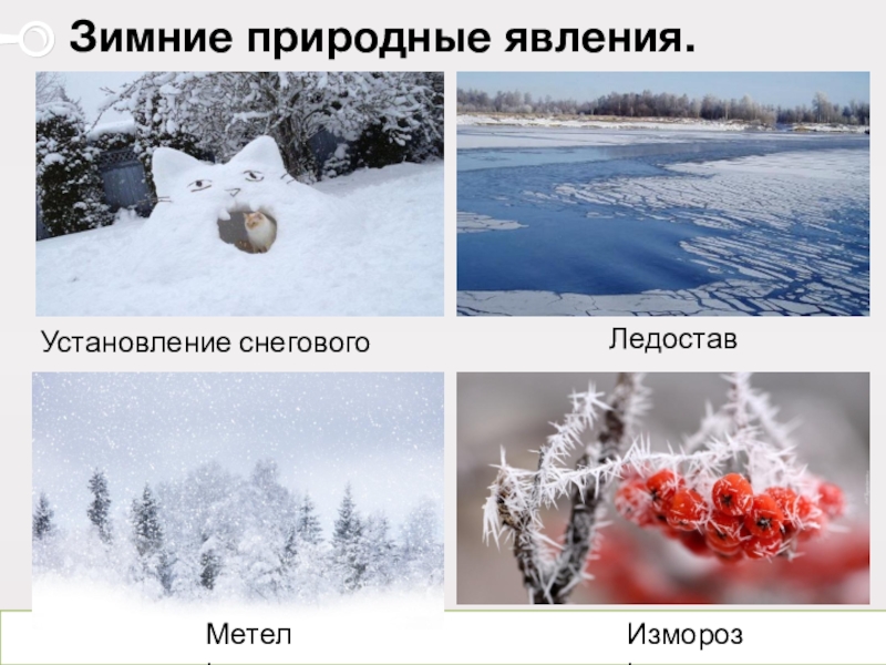 Изменения в природе зимой 5 класс биология. Явления природы зимой. Зимние явления в живой. Зимние явления в живой природе. Зимние явления природы для детей.