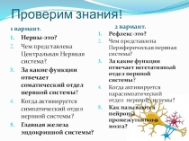 Спинной мозг