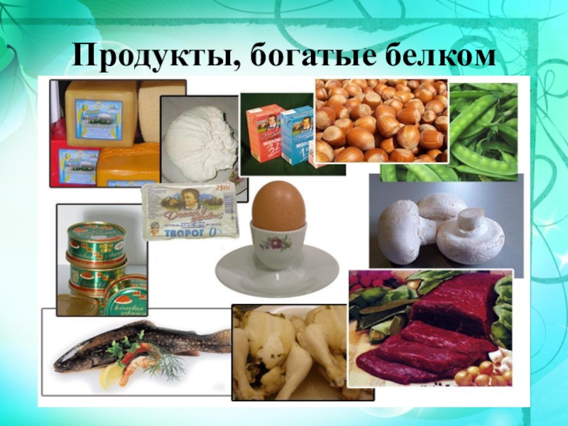 Клетка продукты. Продукты насыщенные белком. Недорогие продукты обогащенные белками. Продукты богатые белком водоросли. Продукты богатые белком самые богатые белком продукты.