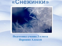Презентация к уроку изобразительное искусство Роспись новогоднего шара(выполнил ученик Порошин Алексей)