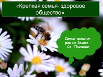 Презентация к проекту Крепкая семья-здоровое общество