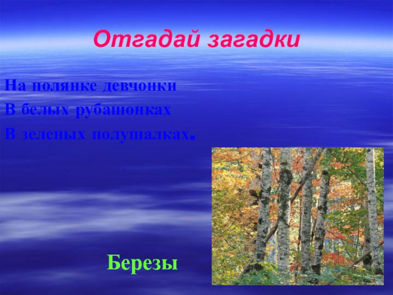 загадки на тему природа. загадки о явлениях природы. загадки на тему природа. не ездок а со шпорами не сторож а всех. отгадать слово из 6 букв.