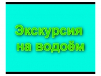 Презентация. Скриншоты к видеофильму Экскурсия на водоём (проект Зоологическая экскурсия на пресный водоём)