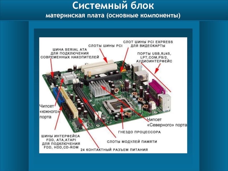 Презентация по информатике 7 класс видеокарта