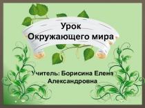 Презентация к уроку окружающего мира по теме Что общего у деревьев, кустарников и трав (1 класс)