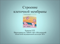 Презентация по биологии Строение клеточной оболочки