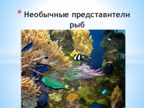 Презентация по биологии 7 класс