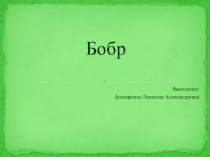 Презентация по биологии на тему Бобр (8 класс)