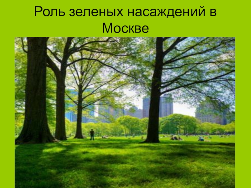 Роль москва. Гигиеническое значение зеленых насаждений в городе. Зеленые насаждения Москвы. Территории зелёных насаждений в Москве арт для презентации. Москва зелёное насаждение какое.