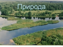 Презентация по окружающему миру